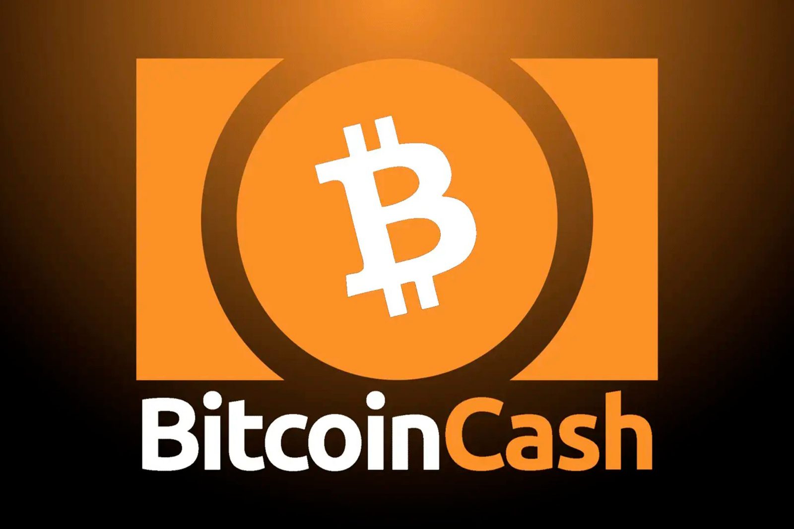 One year of Bitcoin Cash has passed.