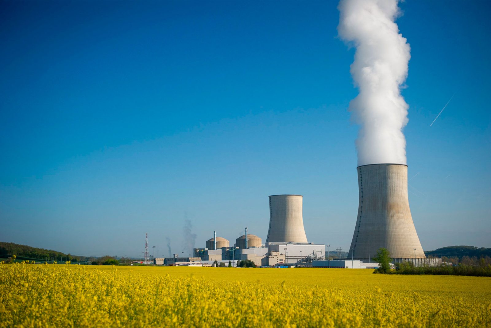 Can nuclear succeed in regulated electricity markets?