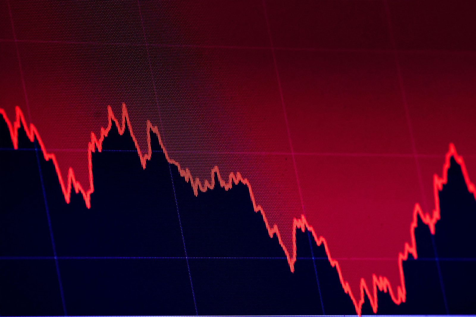 Carnassie Fund: A devastating trading loss that serves as a lesson